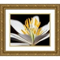 thumbnail image 1 of Mansfield, Kathy 14x12 Gold Ornate Wood Framed with Double Matting Museum Art Print Titled - White Puccoon I, 1 of 4