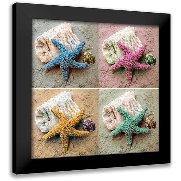 Mansfield, Kathy 15x15 Black Modern Framed Museum Art Print Titled - Colorful Starfish