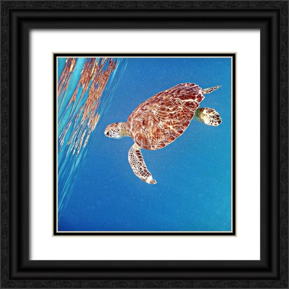 Mansfield, Kathy 15x15 Black Ornate Wood Framed with Double Matting Museum Art Print Titled - Underwater Depths II