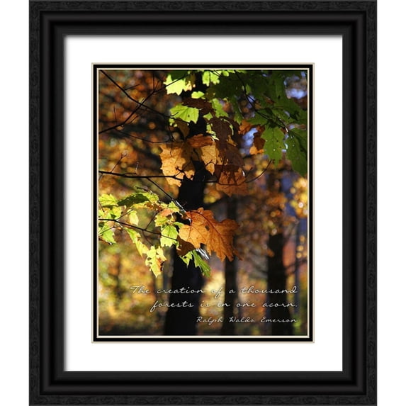 Mansfield, Kathy 15x18 Black Ornate Wood Framed with Double Matting Museum Art Print Titled - A Thousand Forests