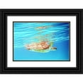 thumbnail image 1 of Mansfield, Kathy 18x14 Black Ornate Wood Framed with Double Matting Museum Art Print Titled - Underwater Depths I, 1 of 4