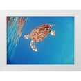 thumbnail image 1 of Mansfield, Kathy 18x14 White Modern Wood Framed Museum Art Print Titled - Underwater Depths II, 1 of 4