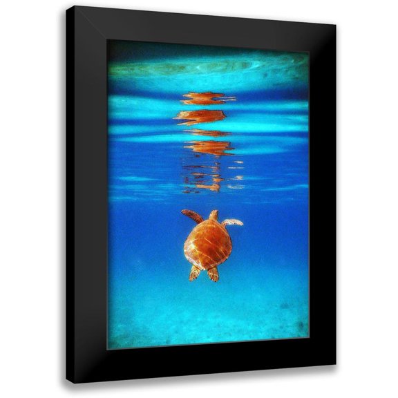 Mansfield, Kathy 18x24 Black Modern Framed Museum Art Print Titled - View from Below II