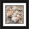 thumbnail image 1 of Mansfield, Kathy 20x20 Black Ornate Wood Framed with Double Matting Museum Art Print Titled - Shell Collection I, 1 of 4
