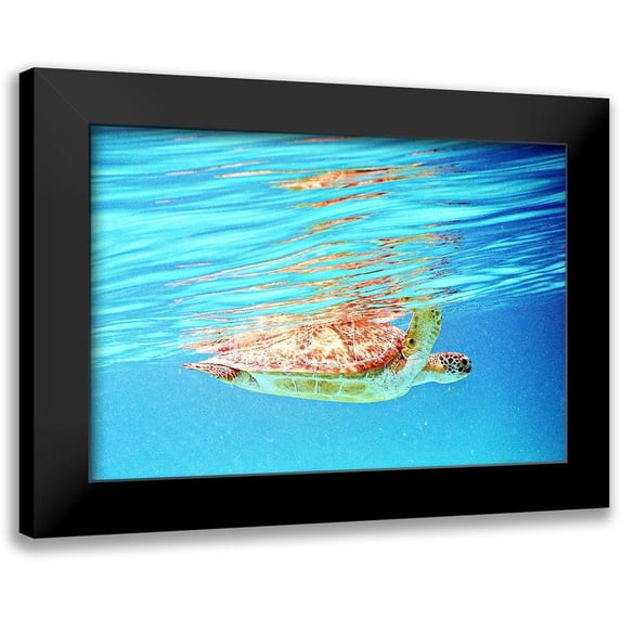 Mansfield, Kathy 24x18 Black Modern Framed Museum Art Print Titled - Underwater Depths I