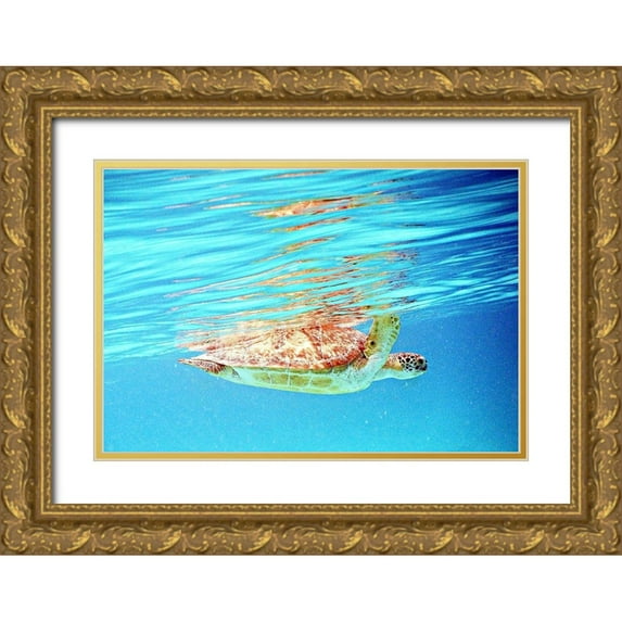 Mansfield, Kathy 24x18 Gold Ornate Wood Framed with Double Matting Museum Art Print Titled - Underwater Depths I