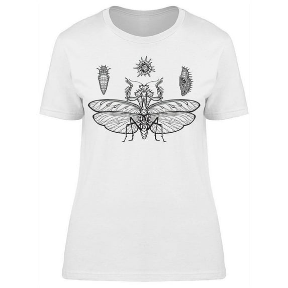 Mantis Larva Sketch T-Shirt Women -Image by Shutterstock, Female XX-Large
