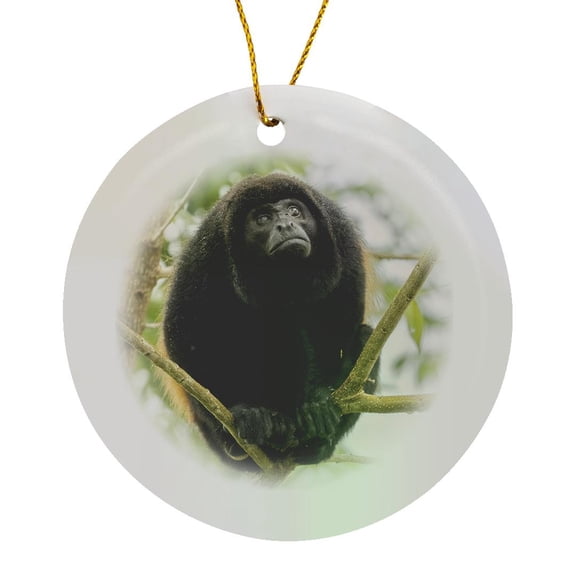 3drose, Mantled Howler, Costa Rica, Central America, Circle Porcelain Ornament