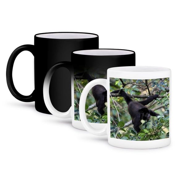 Mantled Howler Monkey, Lomas De Barbudal, Costa Rica - Sa22 Mgl0015 - Miva Stock, 11oz Magic Transforming Mug