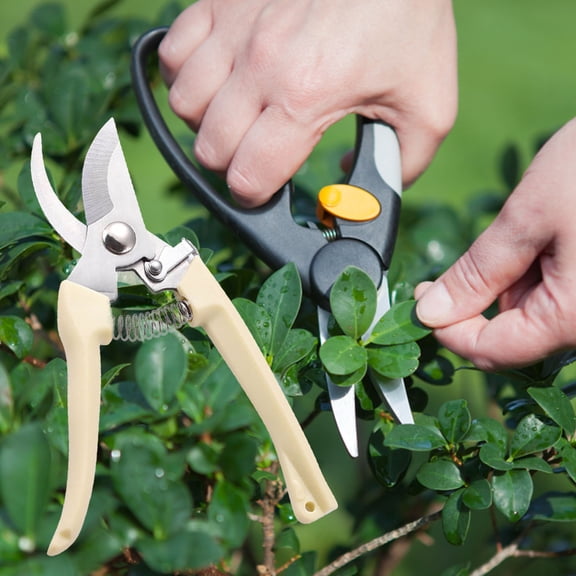 Manual Pruning Shears - Bird Beak Blades With Blister Card Packaging - For Home Gardeners, Professional Gardeners, Landscapers, Diy Enthusiasts, Branch Trimming, Hedge Cutting,