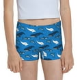Easygdp Party Shark Cute Girls Hipster Cotton Underwear Little Girls