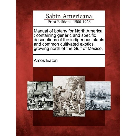Manual of botany for North America: containing generic and specific descriptions of the indigenous plants and common cultivated exotics growing north of the Gulf of Mexico. (Paperback)
