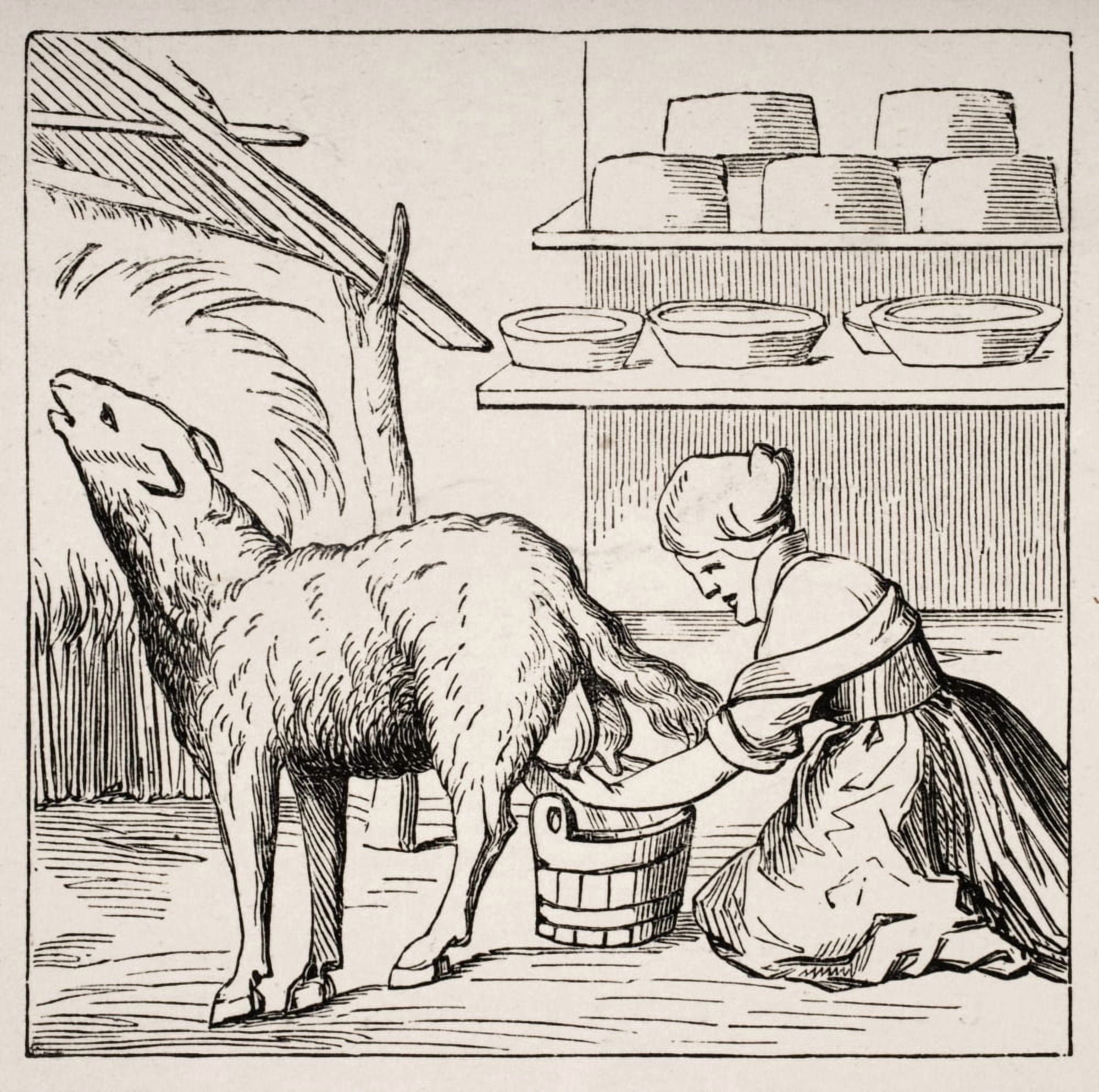 Manufacture Of Cheeses In Switzerland 19Th Century Copy Of Woodcut In Cosmographie Universelle Dated 1549 Canvas Art - Ken Welsh Design Pics (24 x 24)