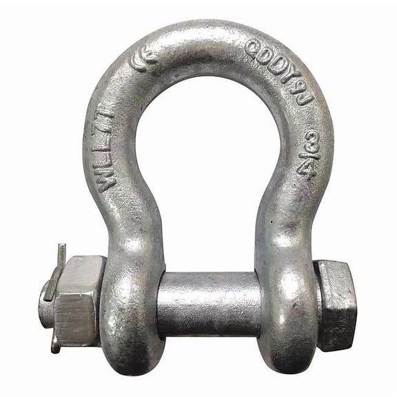 Anchor Shackle,6,600 lb,Alloy Steel 55AY32
