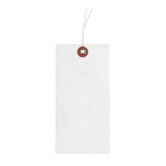 2-7/8" x 5-3/4" White Tyvek Wire Tag, Includes 12" Wire, Pk1000