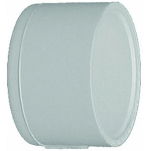 Manufacturer Varies PVC Cap, Socket, 2 in Pipe Size 447020BC