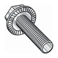 thumbnail image 1 of 1/2-13in x 3/4in Flange Bolts, 18-8 Stainless, 200 PK, 1 of 1