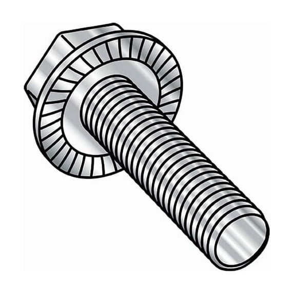 12-24in x 1/2in Flange Bolts, 18-8 Stainless, 3500 PK 1208MWW188