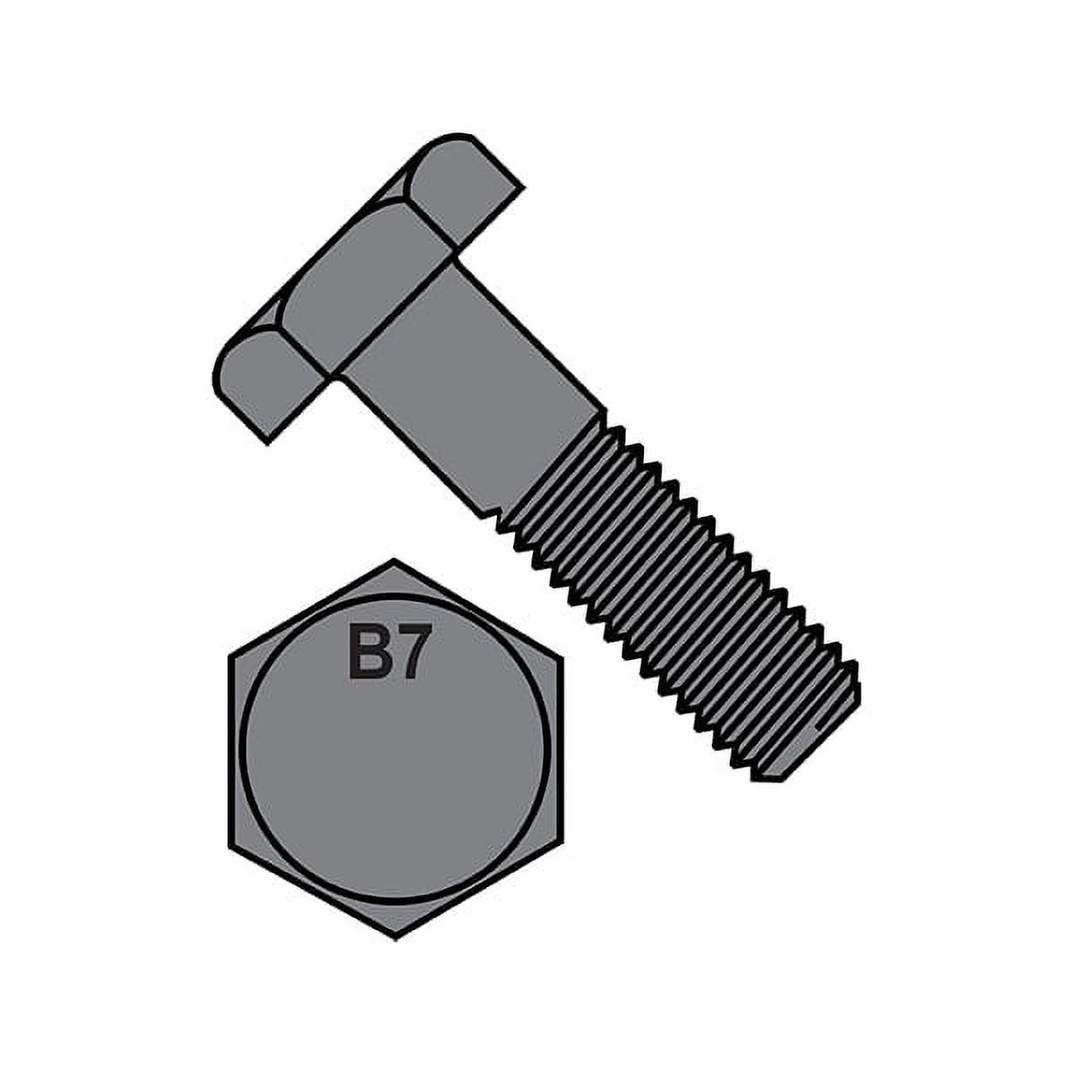 Bulloni Carrozza Acciaio Inox 316 1/2-13x2" | Grado Marino, Confezione Da 25 Pezzi Fastenere