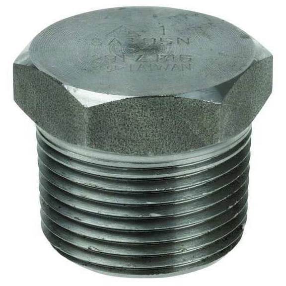 Manufacturer Varies 3/4" MNPT 316 SS Hex Head Plug 1RTH6