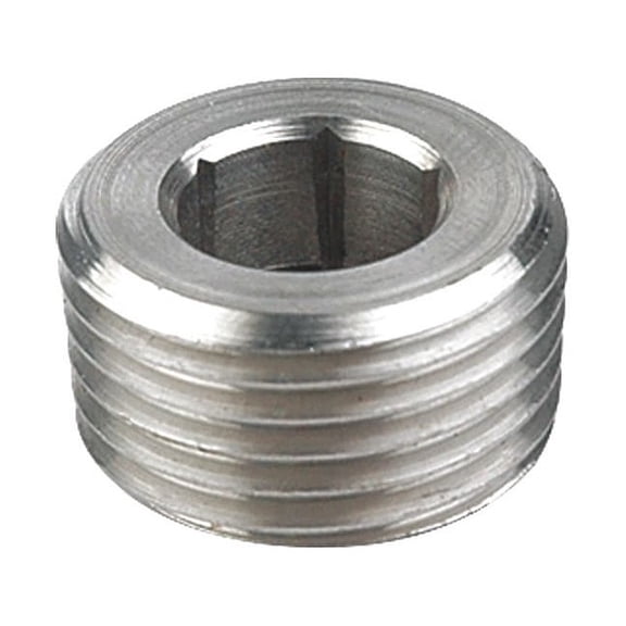 Manufacturer Varies 1/4" MNPT 304 SS Hex Socket Plug 40SP112N014