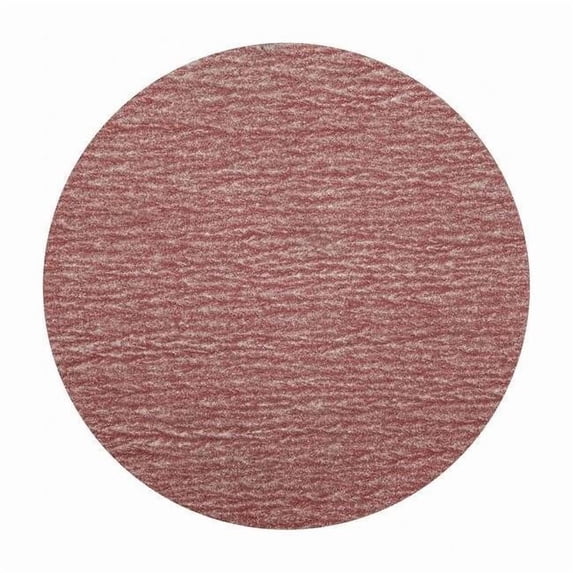 Manufacturer Varies Hook-and-Loop Sanding Disc,6 in Dia 05539520276