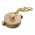 thumbnail image 1 of Manufacturer Varies Hydrant Cap,Female,Brass,NPSH 6AKE0, 1 of 1