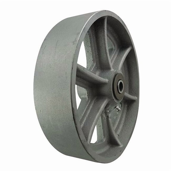 Manufacturer Varies Caster Wheel,Cast Iron,8 in.,1800 lb. 26Y441