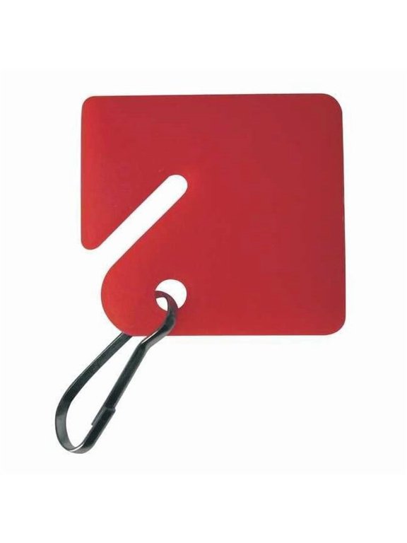 Key Tag,Square-Slotted,Multi-Color,PK20 33J891