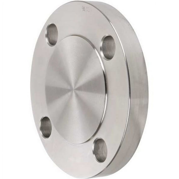 Manufacturer Varies 3" Welded SS Blind Flange 4381000070