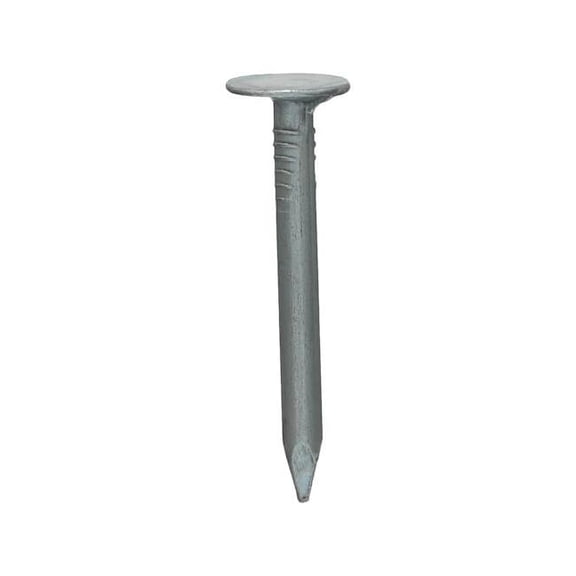 Roofing Nail, 1-1/4 in L, 3D, Steel, Electro Galvanized Finish, 11 ga, 1100 PK