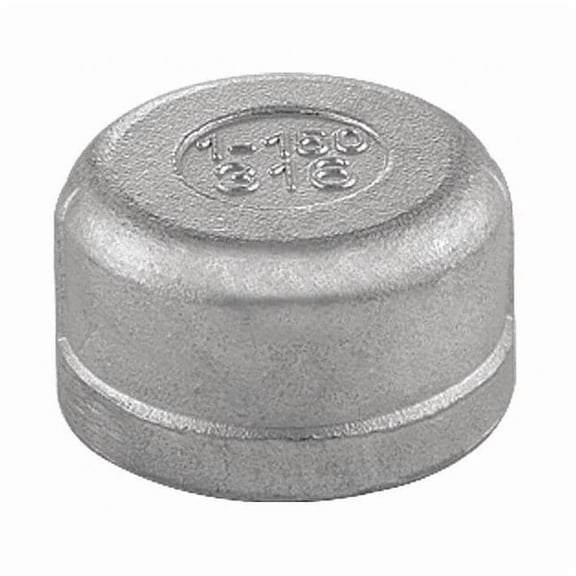 Manufacturer Varies 3/4" FNPT 304 SS Cap 40RDC111N034