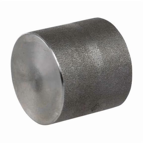 Manufacturer Varies Round Cap, 304 SS, 3/4 in Pipe Size,FNPT 2UA46