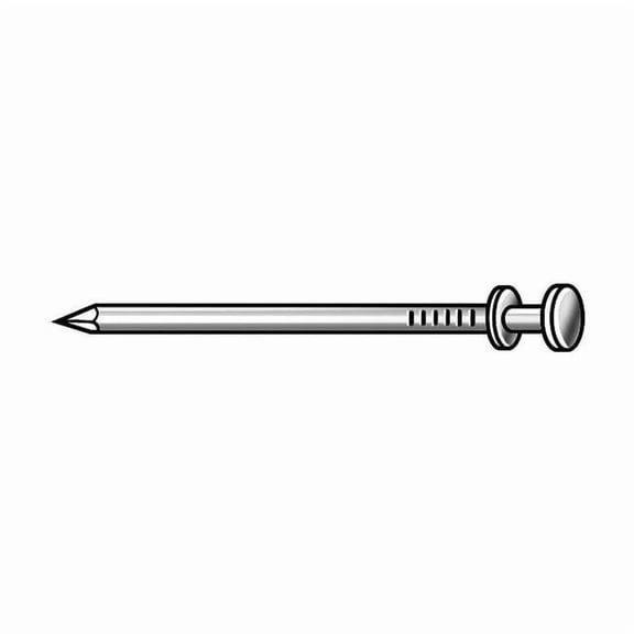 Scaffold Nail,8d,2 1/4 In L,PK440 4NFD8