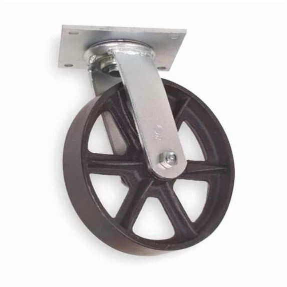 Manufacturer Varies Swivl Plate Castr,Cast Iron,5 in,1200 lb 1NVP7