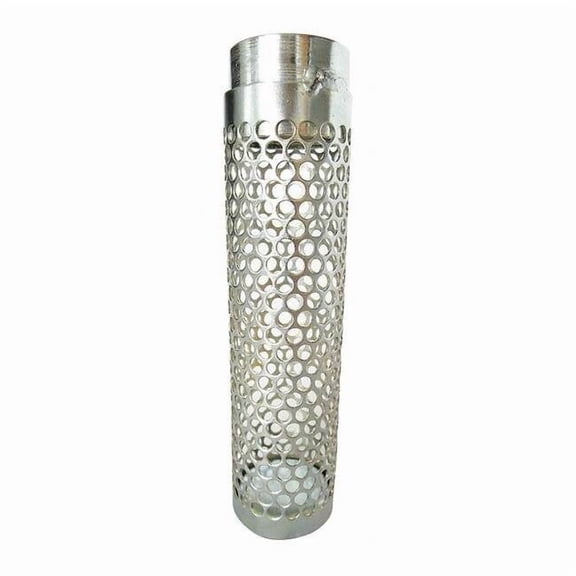 Suction Strainer,2.75dia,2 NPSM,SidePerf 5RWK2