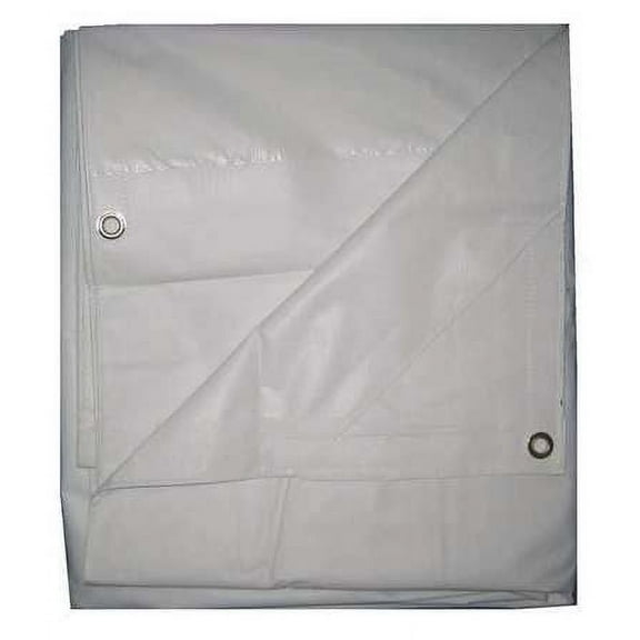 Standard Duty Tarp, 7 ft 4 in x 9 ft 6 in, 15 Mil, White, Vinyl