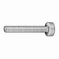 thumbnail image 1 of Thumb Screw, M3.5-0.60 Thread Size, Plain 18-8 Stainless Steel, 5 mm Head Ht, 13 mm Lg, 5 PK, 1 of 1