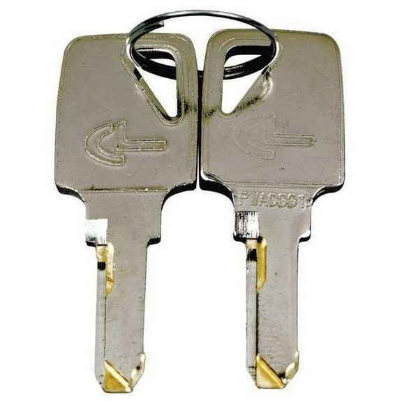 Manufacturer Varies Workstation Key,PR MH49Y09901G