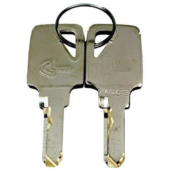 Manufacturer Varies Workstation Key,PR MH49Y09913G