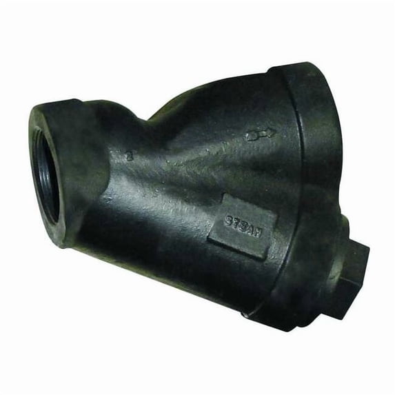 Y Strainer, 3/4" Pipe, FNPT x FNPT, Cast Iron, Stainless Steel,PTFE