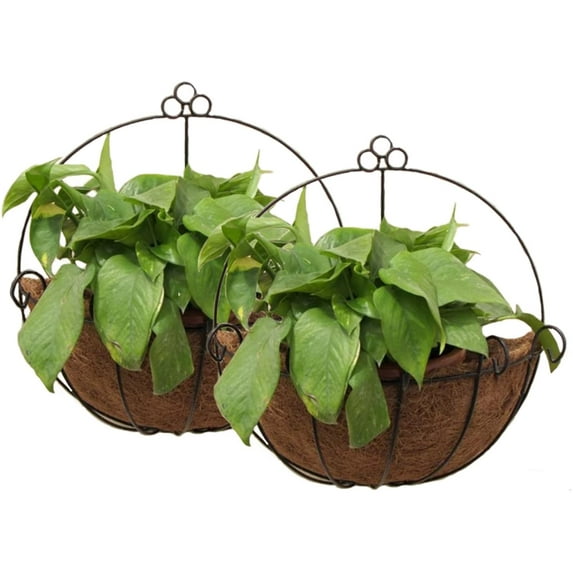 Manunclaims 2 Pack Metal Wall Hanging Planter Basket with Coco Liner - Wicker Rattan Flower Baskets Plant Pots - Great for Indoor or Outdoor Plants