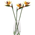 thumbnail image 1 of Manunclaims Artificial Flower Bird Of Paradise, Set of 3Pcs, UV Resistant No Fade Fake Plant Silk Strelitzia Reginae, Suitable for DIY Home Decor Party Theme Display, 1 of 8