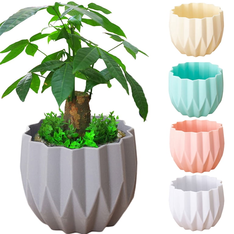 bonsai tree starter kit Bonsai Tree Starter Kit for Beginners with Potting Soil Discs main image 1