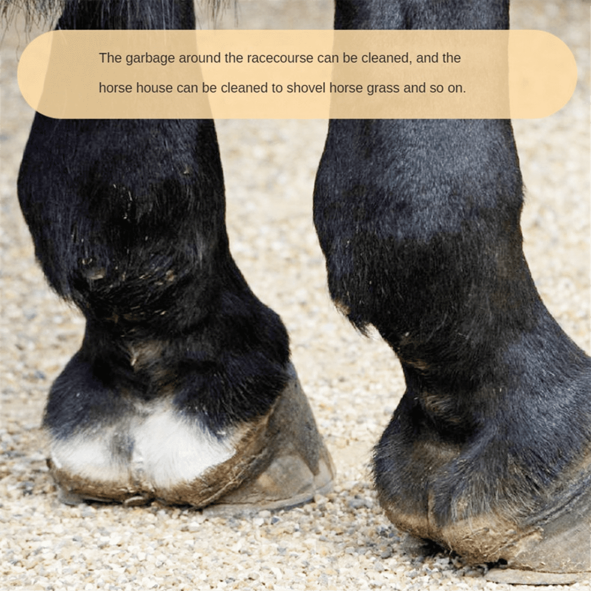 Manure Fork Replacement Head, Pitchfork Head, Horse Manure Rake, for