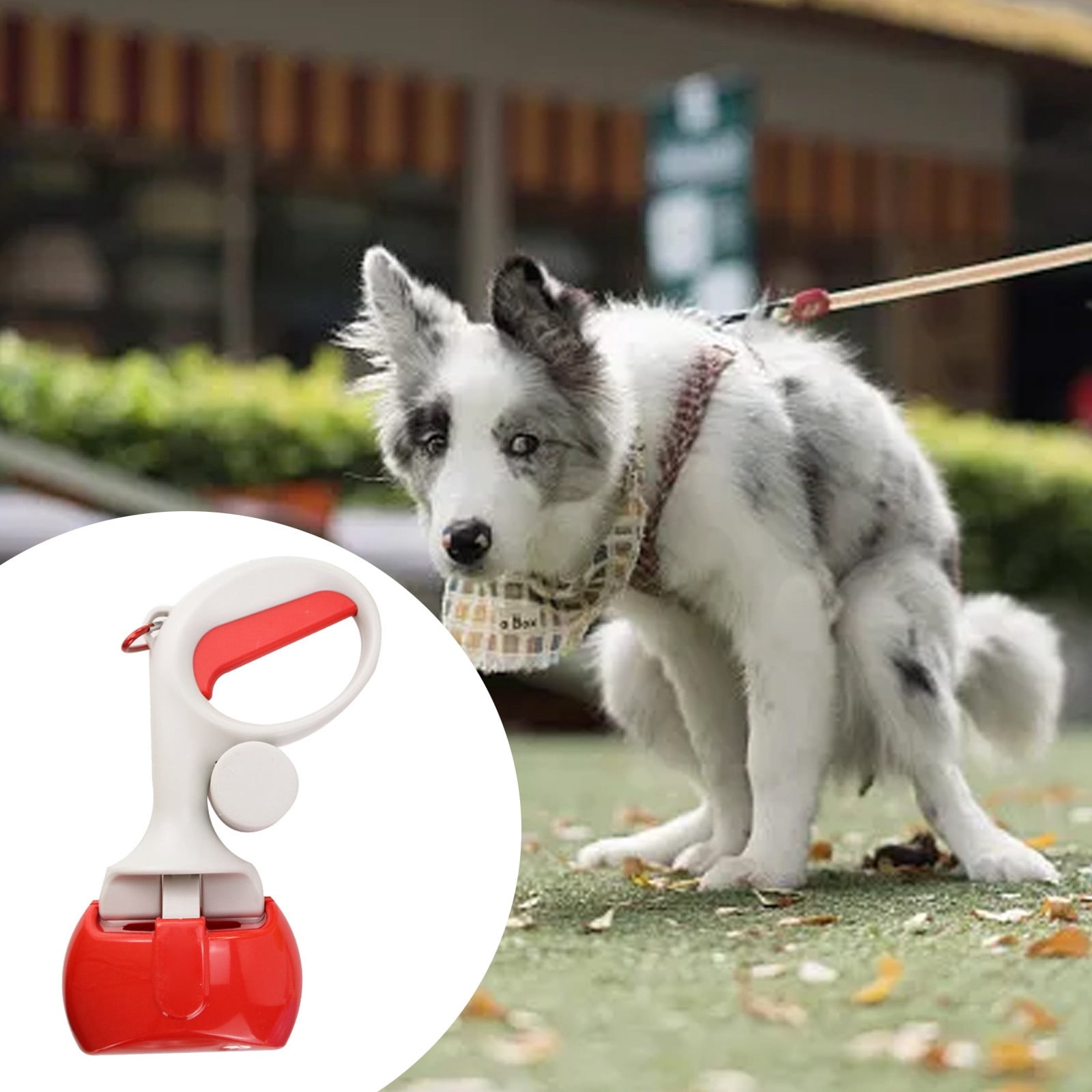 Manure Rake Fork Dog Poop Pail with Outdoor Rake 1 Airtight Container Large Pet Food Chicken