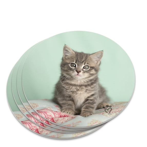 Manx Cat Kitten Bed Sitting Novelty Coaster Set