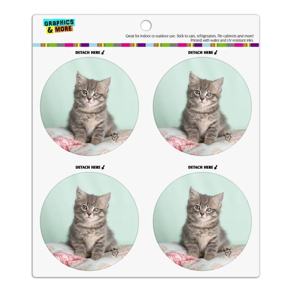 Manx Cat Kitten Bed Sitting Refrigerator Fridge Locker Vinyl Circle Magnet Set