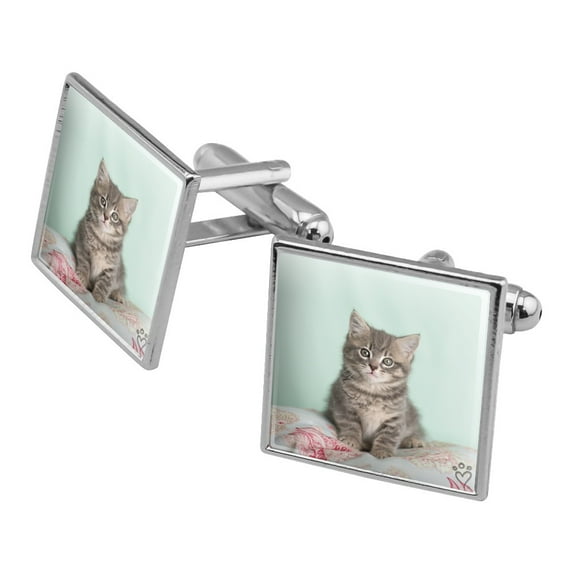 Manx Cat Kitten Bed Sitting Square Cufflink Set - Silver or Gold