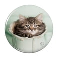 thumbnail image 1 of Manx Kitten Cat Vase Kitchen Refrigerator Locker Button Magnet, 1 of 6